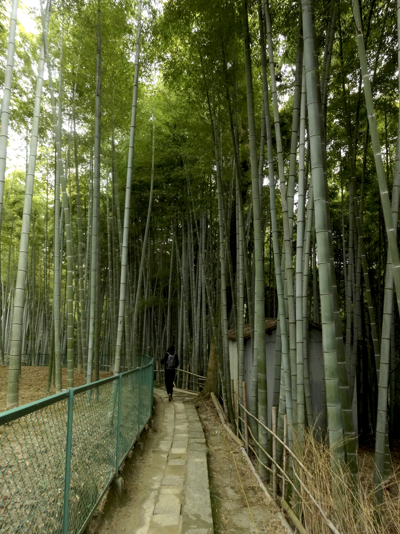 Mon voyage à Kyoto au Japon