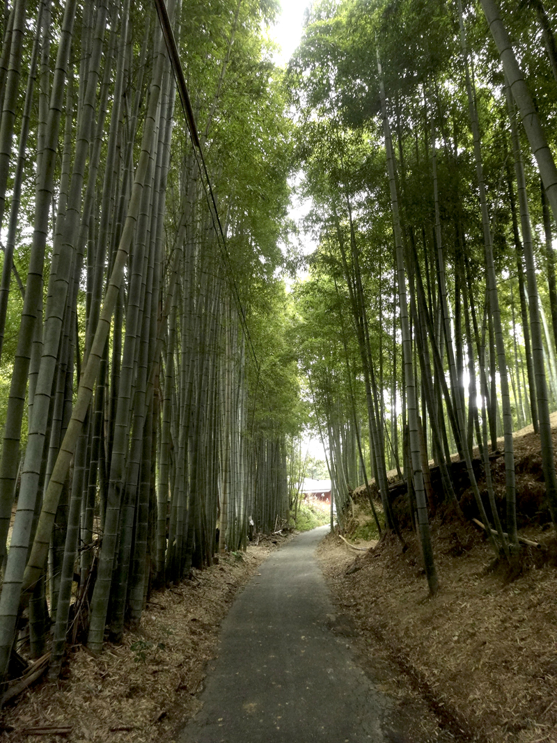 Mon voyage à Kyoto au Japon