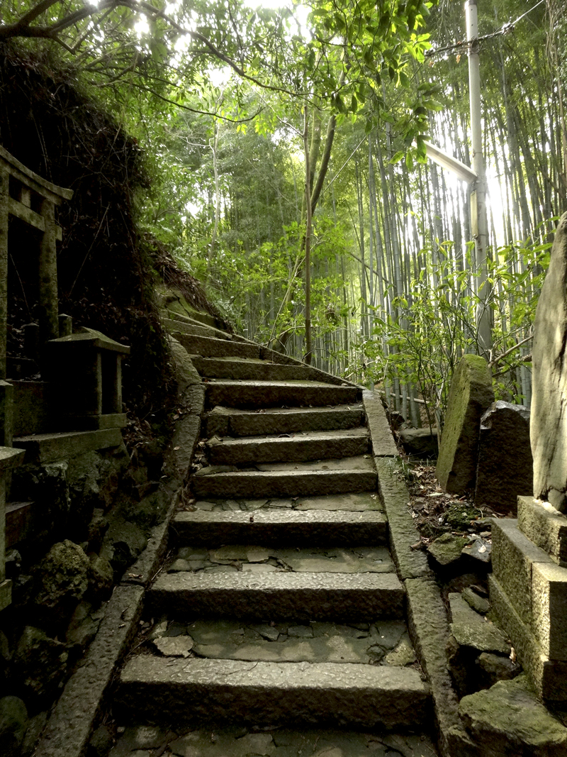 Mon voyage à Kyoto au Japon