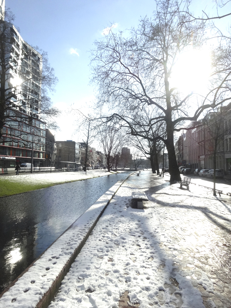 Mon voyage à Rotterdam - Pays Bas