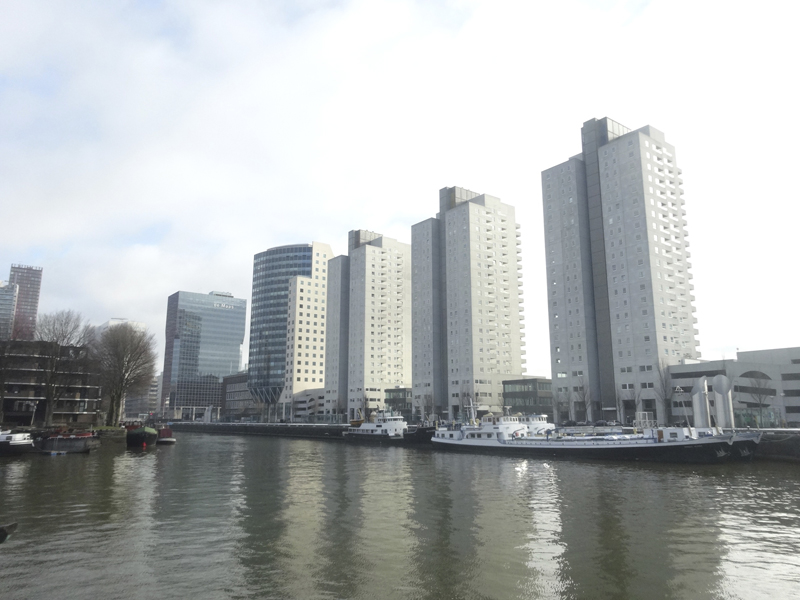 Mon voyage à Rotterdam - Pays Bas