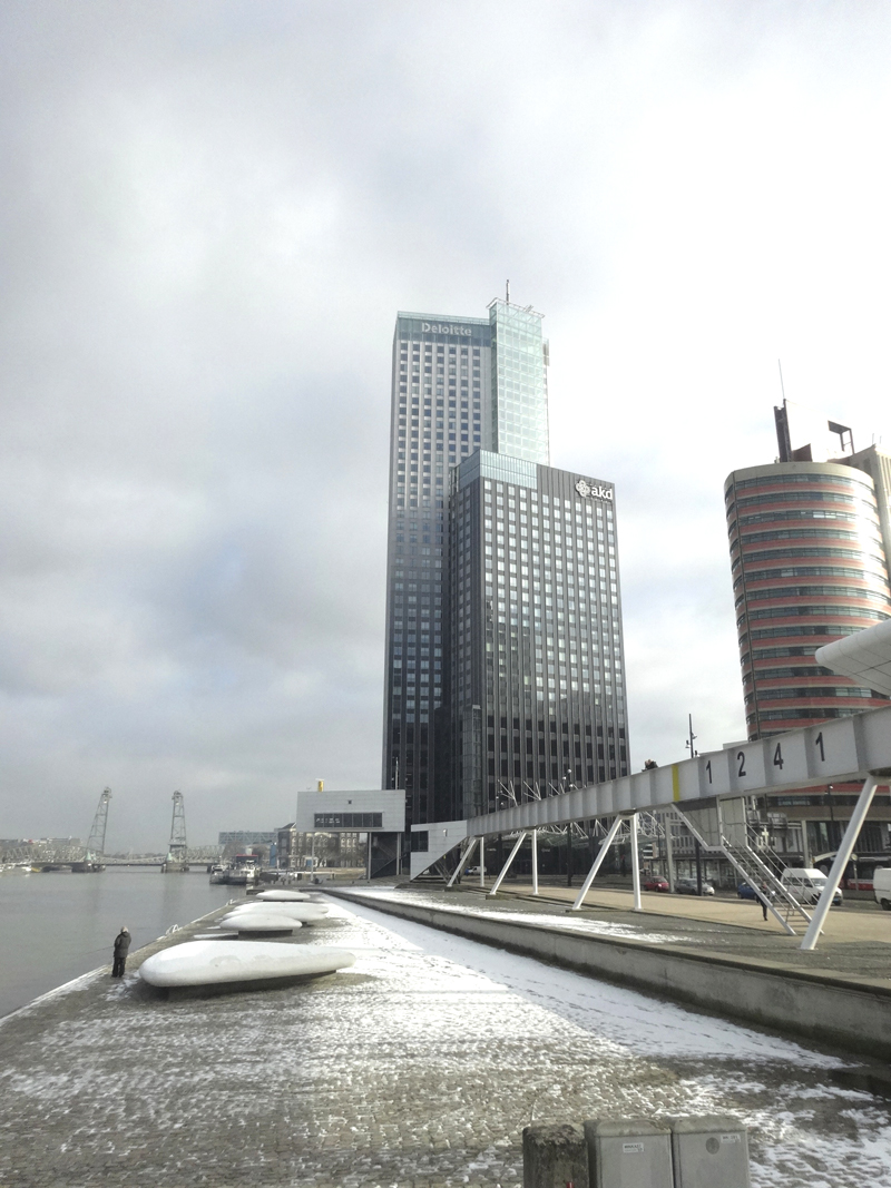 Mon voyage à Rotterdam - Pays Bas