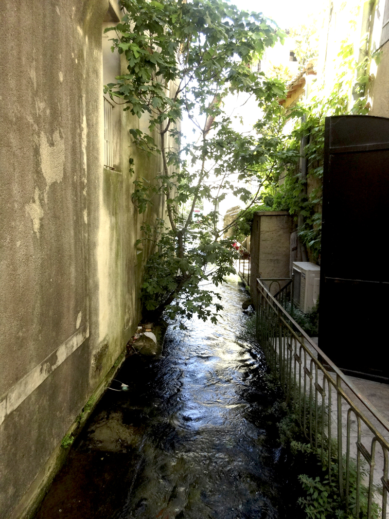 Mon voyage dans le Lubéron L’Isle-sur-la-Sorgue