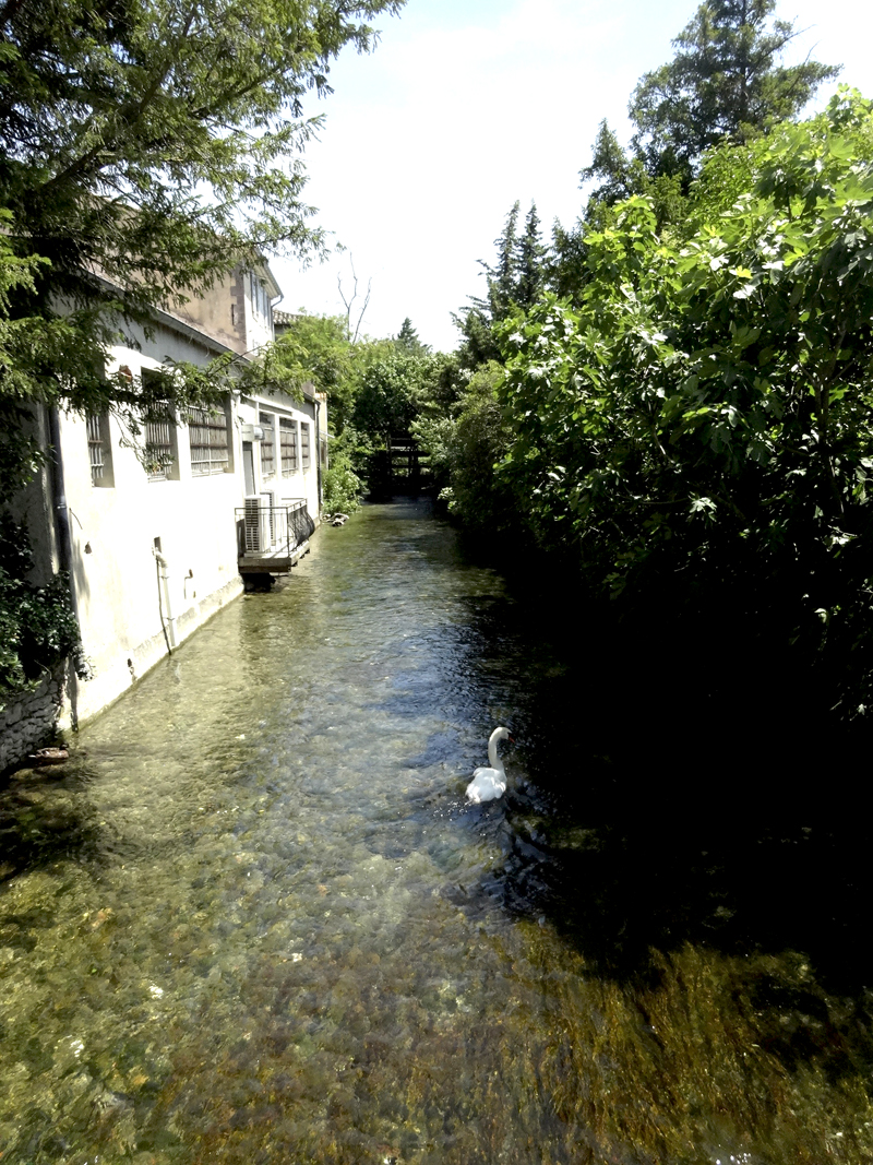 Mon voyage dans le Lubéron L’Isle-sur-la-Sorgue