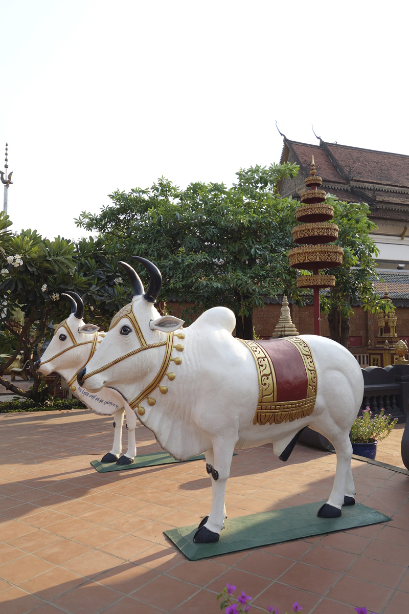 Mon voyage à Siem Reap au Cambodge