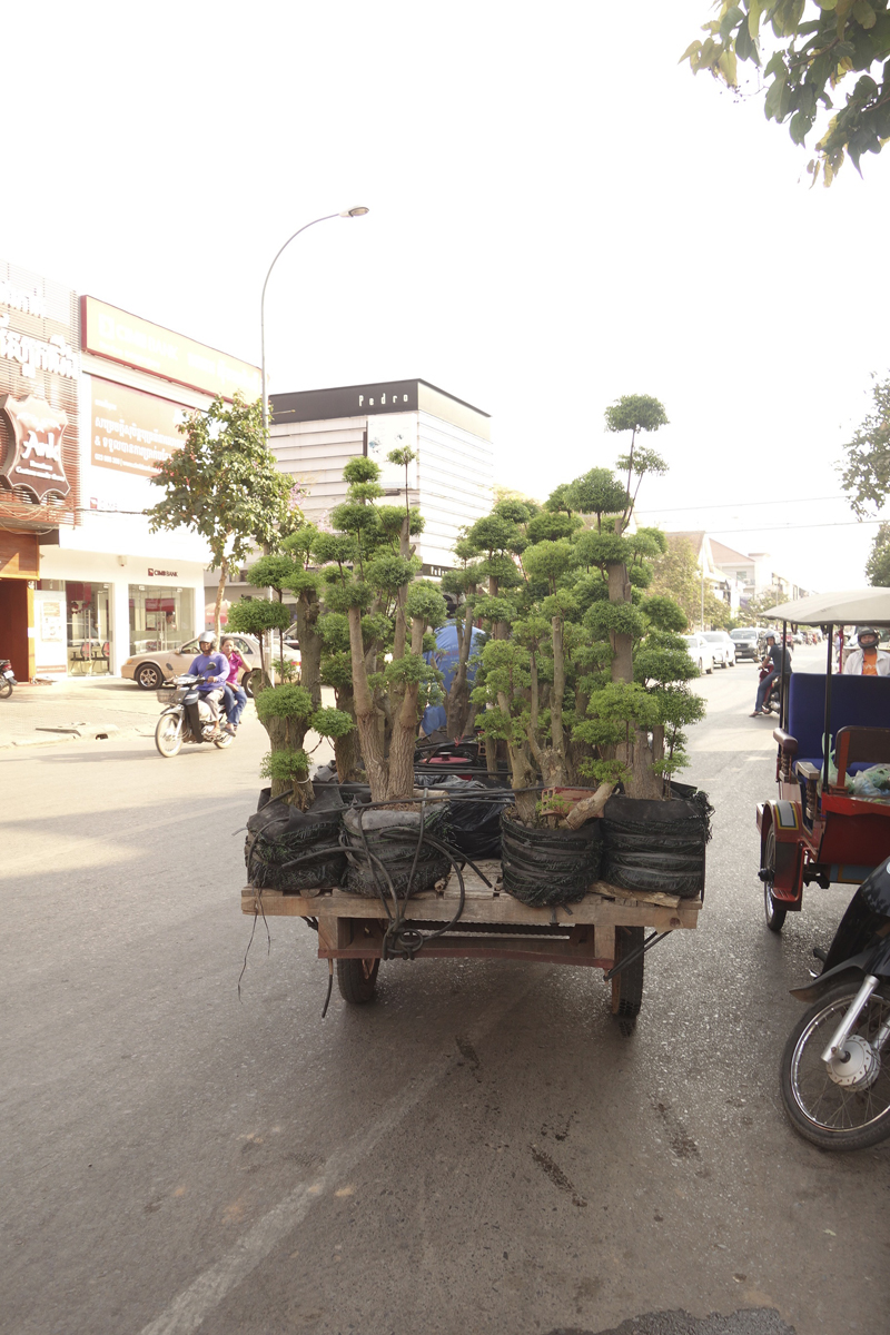 Mon voyage à Siem Reap au Cambodge