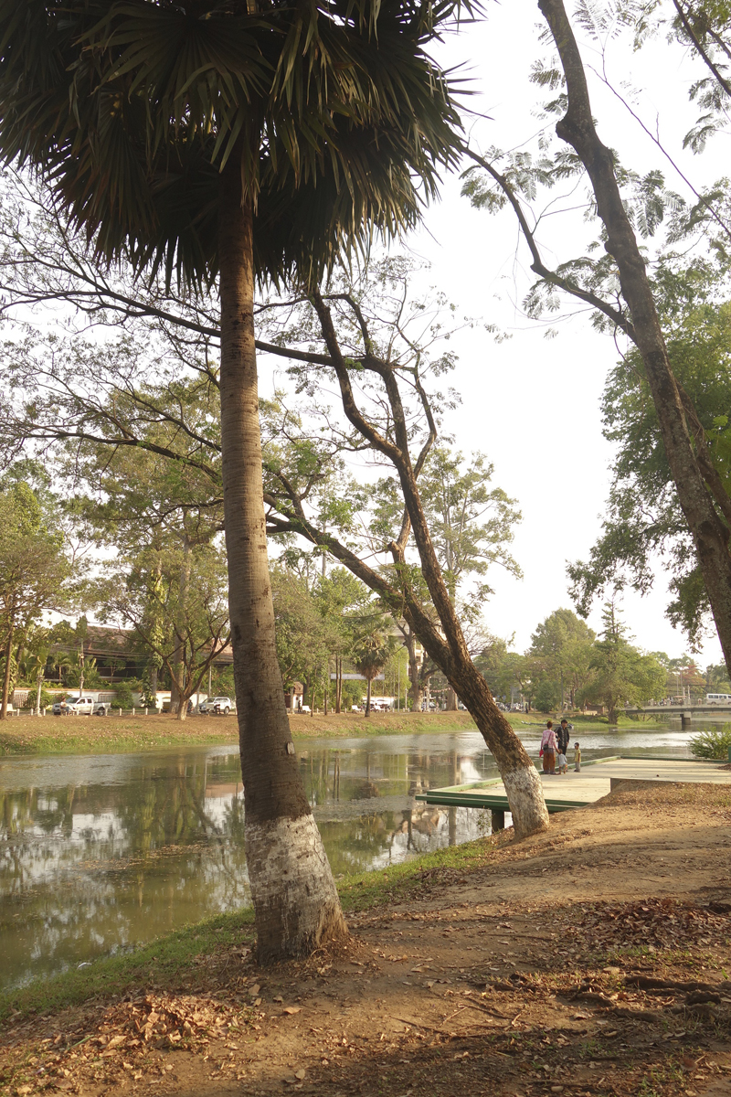 Mon voyage à Siem Reap au Cambodge