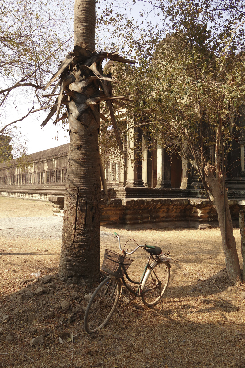 Mon voyage aux temples d'Angkor au Cambodge