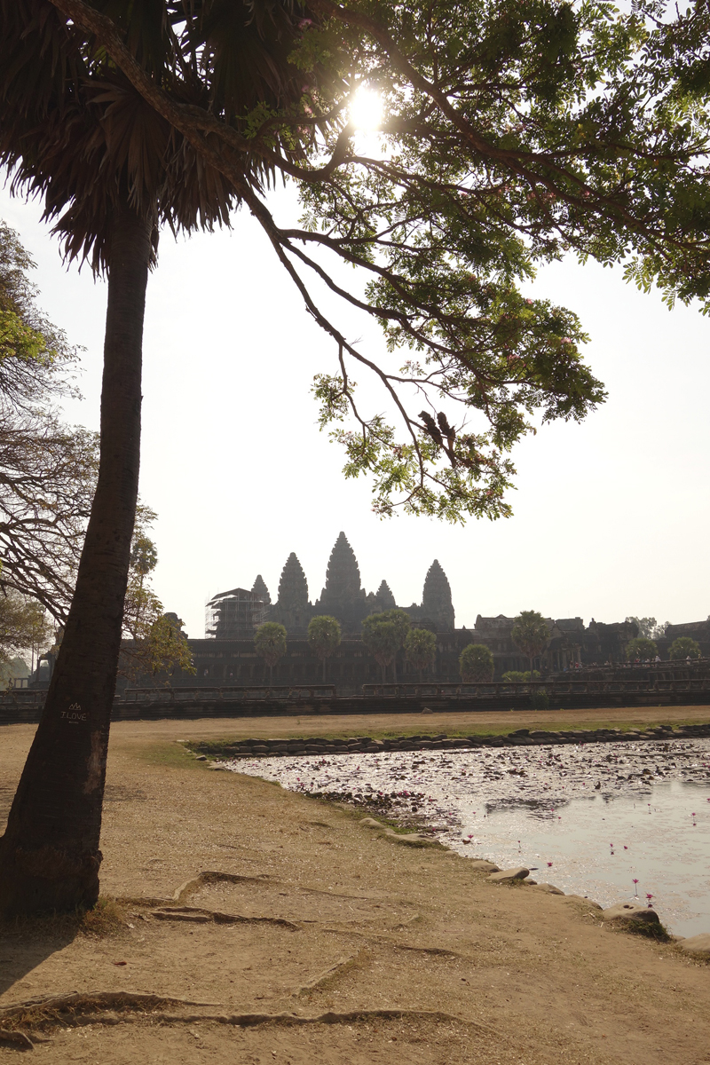 Mon voyage aux temples d'Angkor au Cambodge