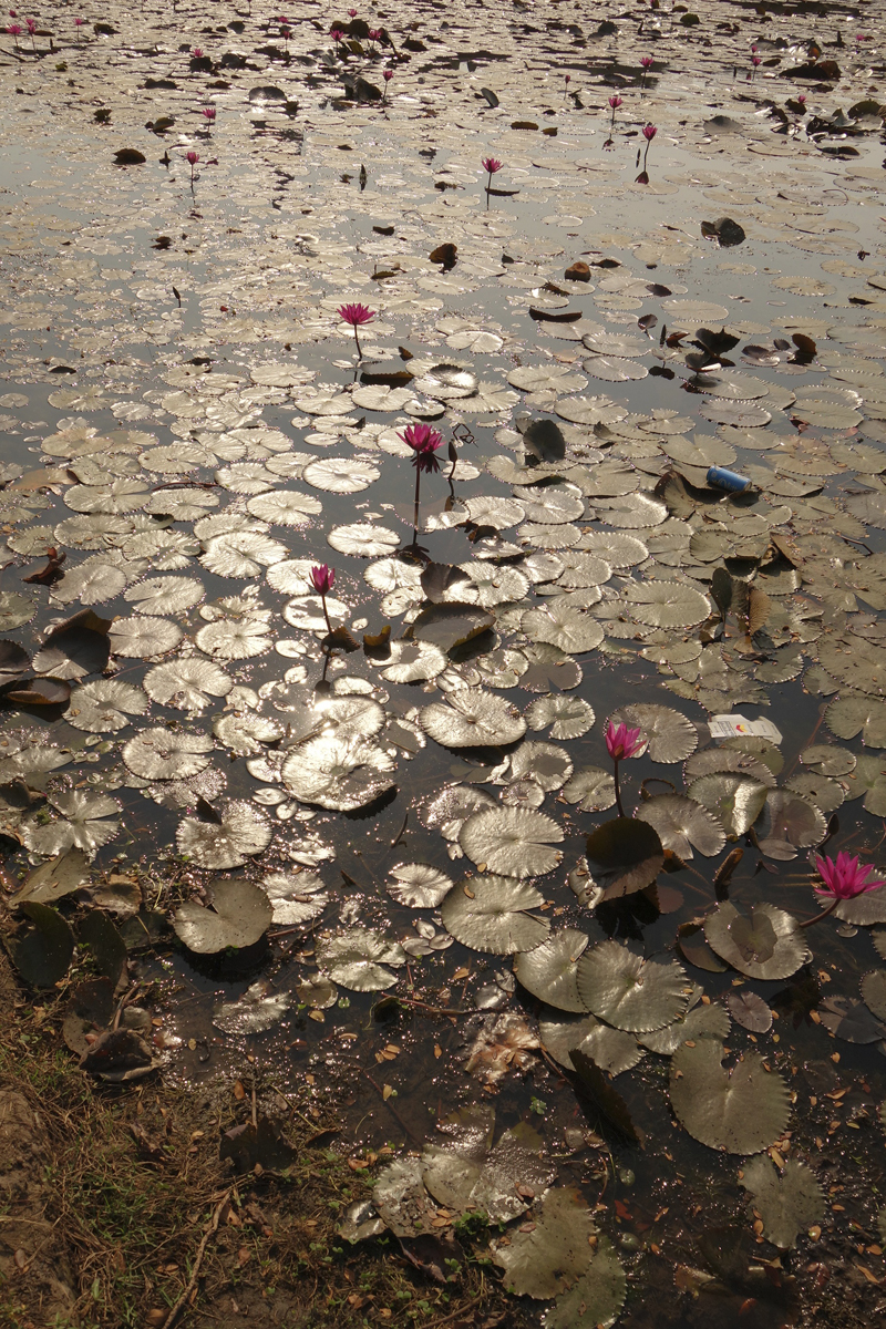 Mon voyage aux temples d'Angkor au Cambodge