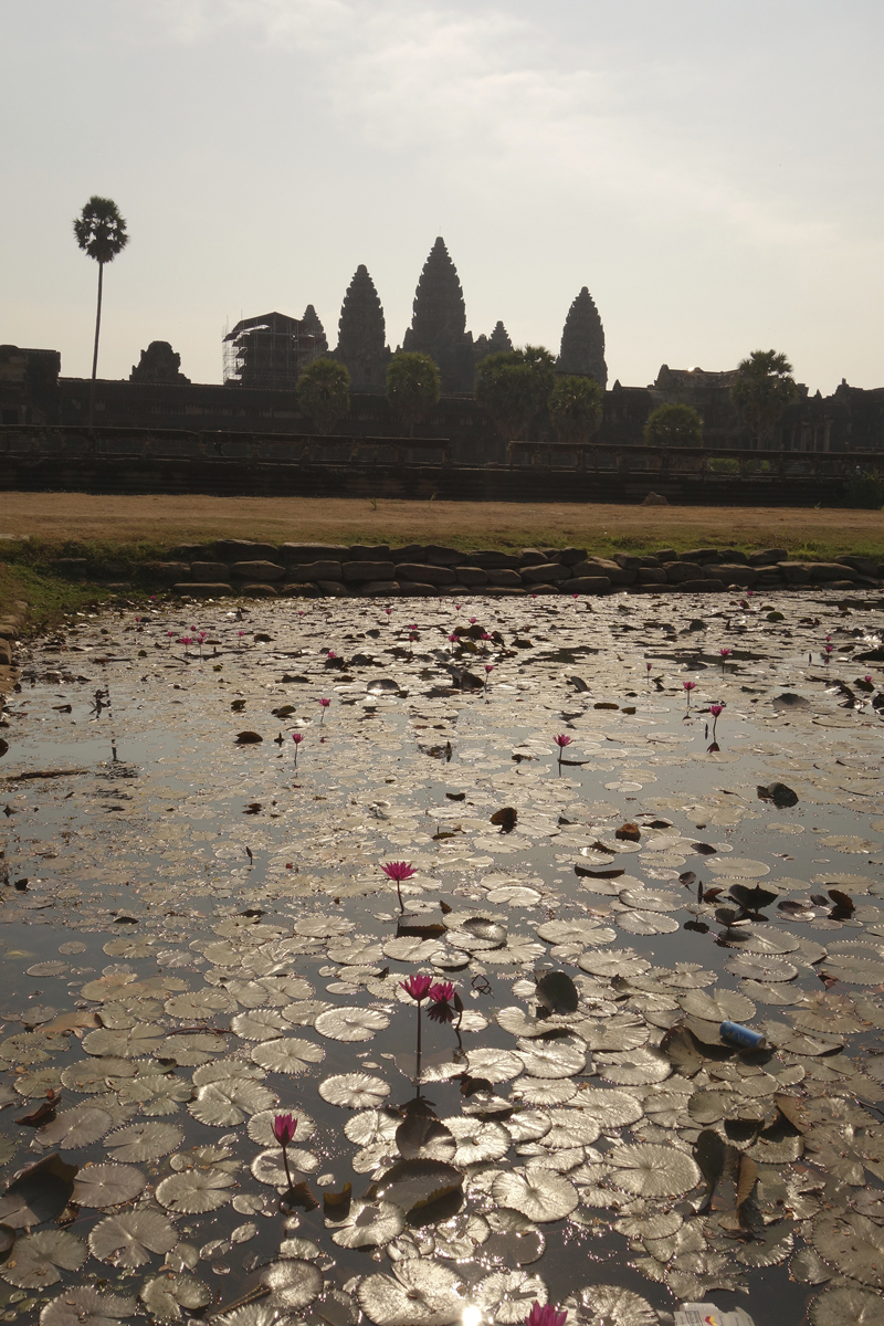 Mon voyage aux temples d'Angkor au Cambodge