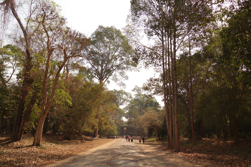 Mon voyage aux temples d'Angkor au Cambodge