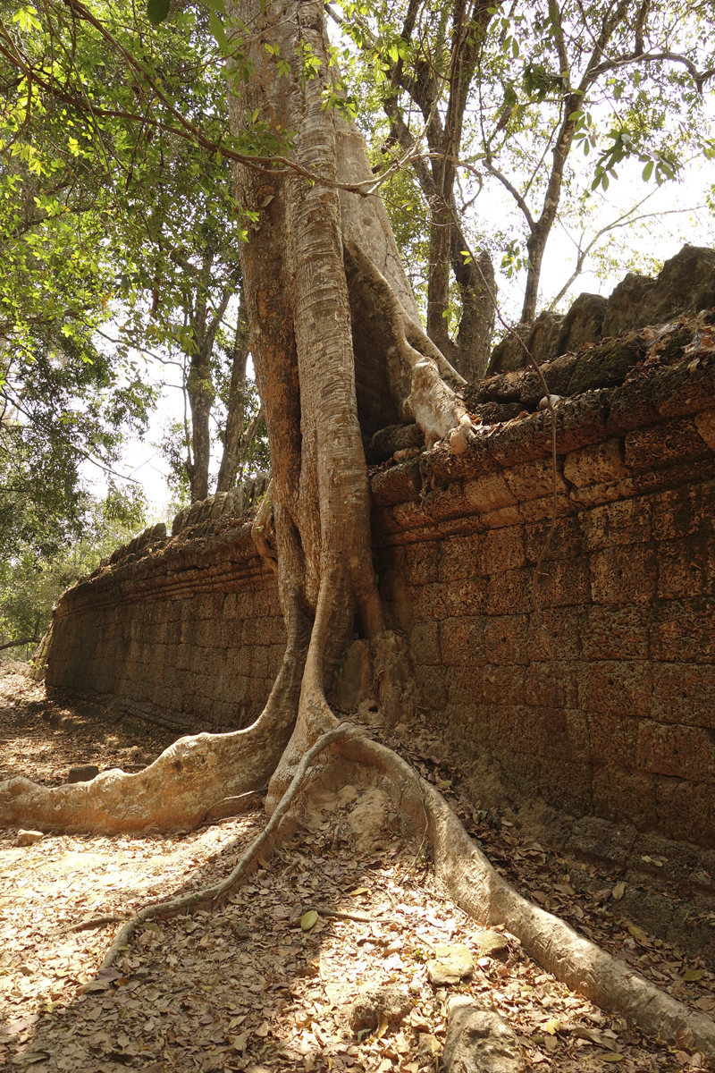 Visite des temples d'Angkor à Siem Reap au Cambodge