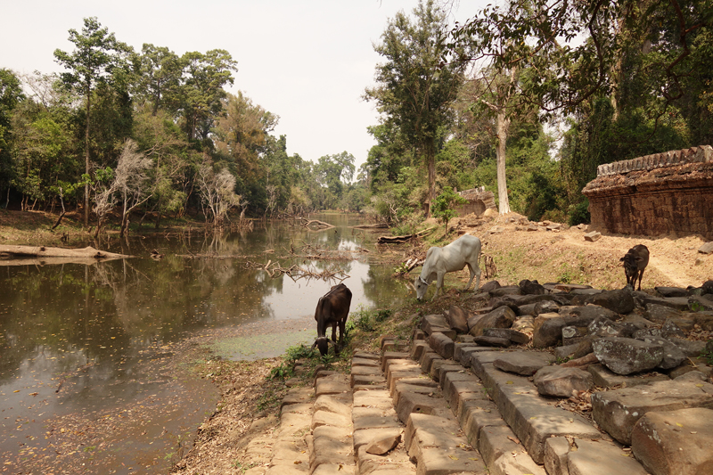 Visite des temples d'Angkor à Siem Reap au Cambodge