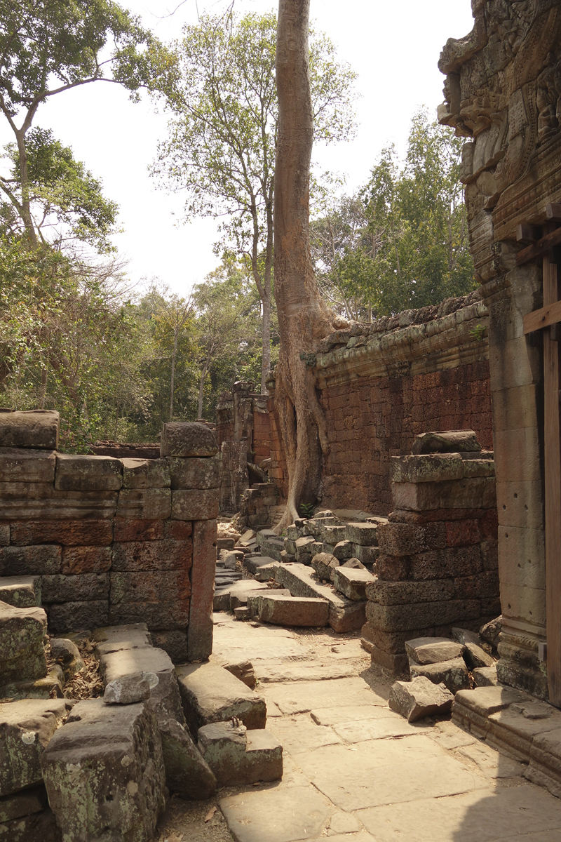 Visite des temples d'Angkor à Siem Reap au Cambodge