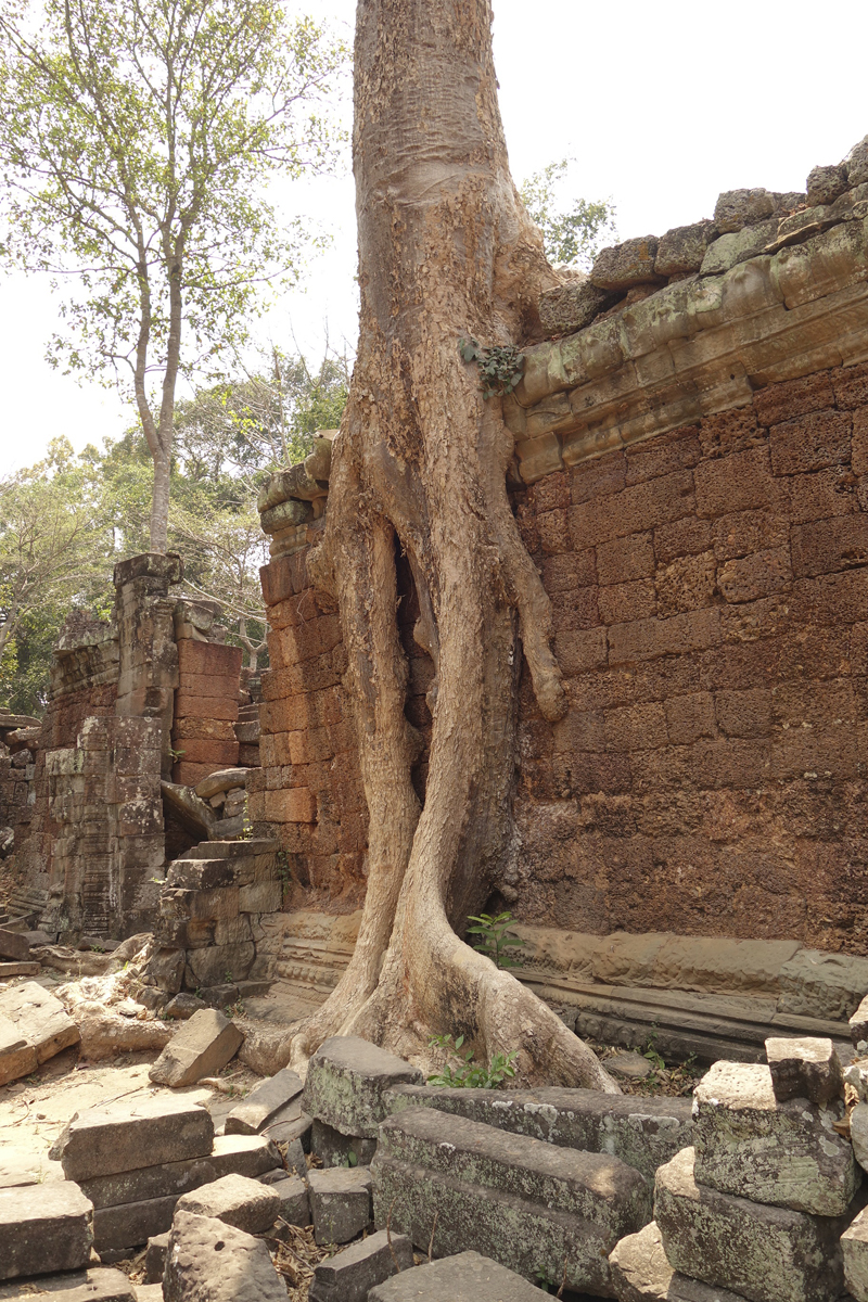 Visite des temples d'Angkor à Siem Reap au Cambodge