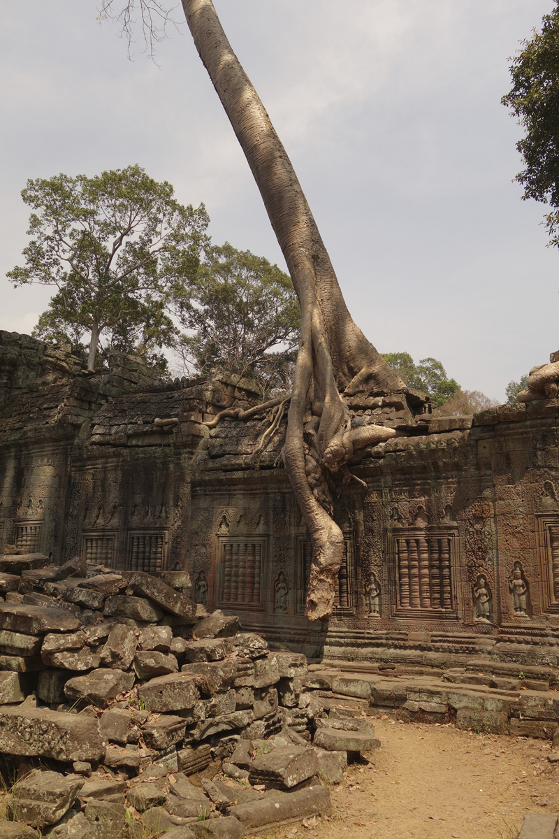 Visite des temples d'Angkor à Siem Reap au Cambodge