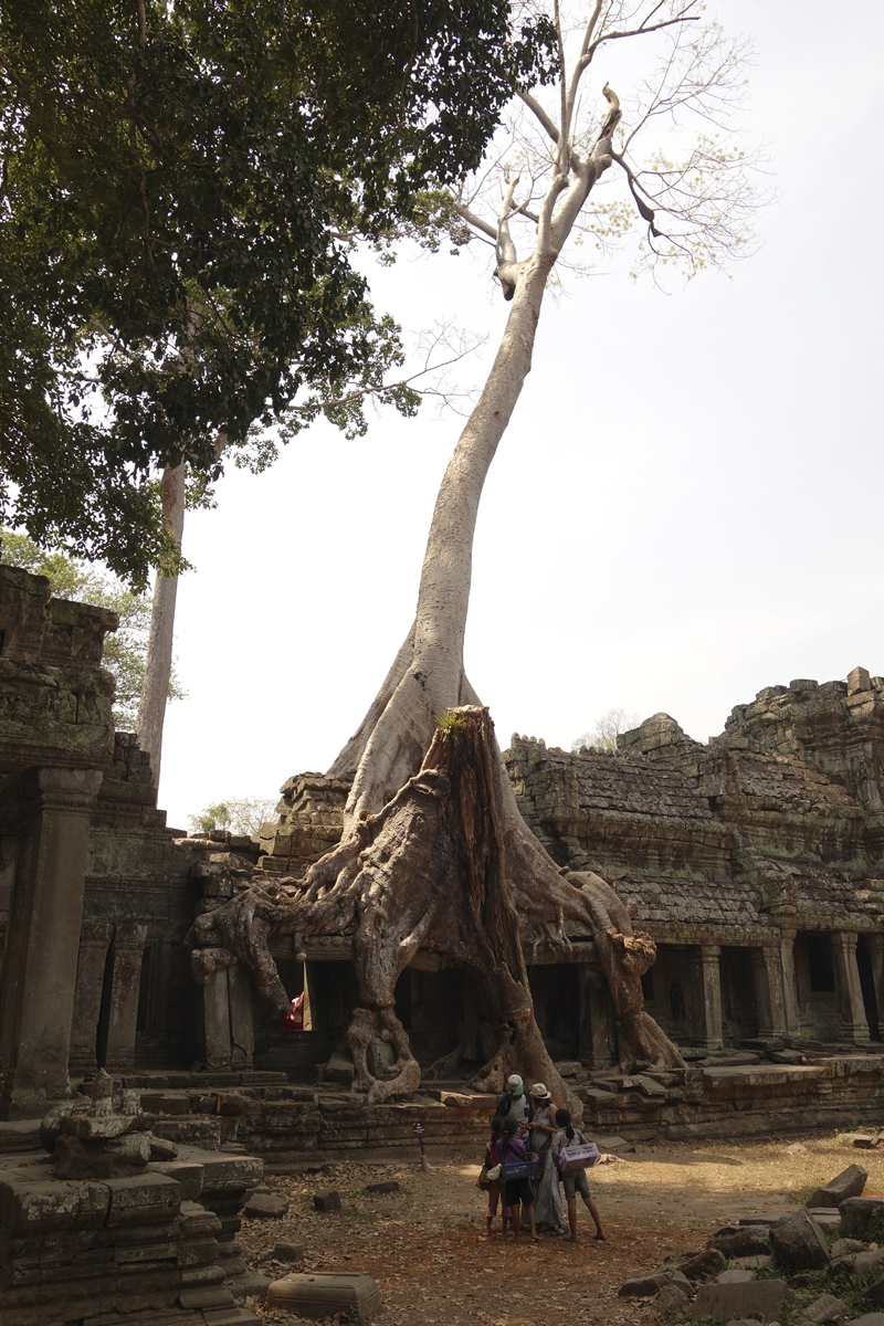 Visite des temples d'Angkor à Siem Reap au Cambodge