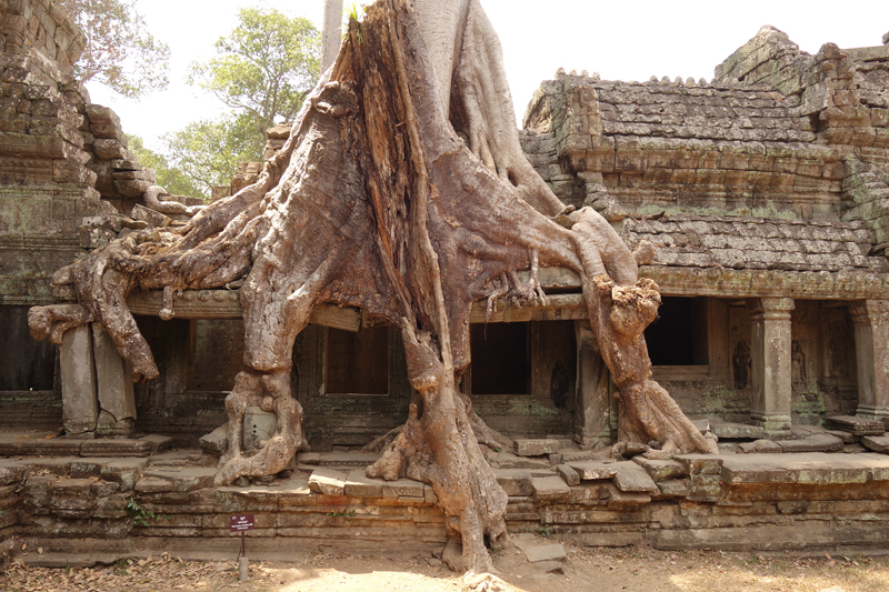 Visite des temples d'Angkor à Siem Reap au Cambodge