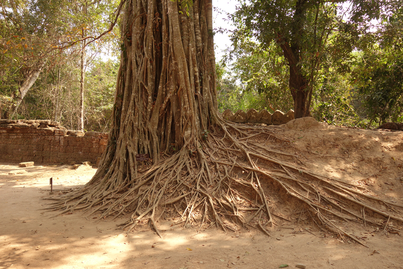 Visite des temples d'Angkor à Siem Reap au Cambodge