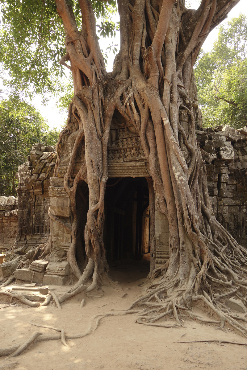 Visite des temples d'Angkor à Siem Reap au Cambodge