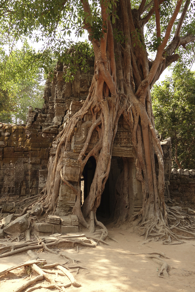 Visite des temples d'Angkor à Siem Reap au Cambodge