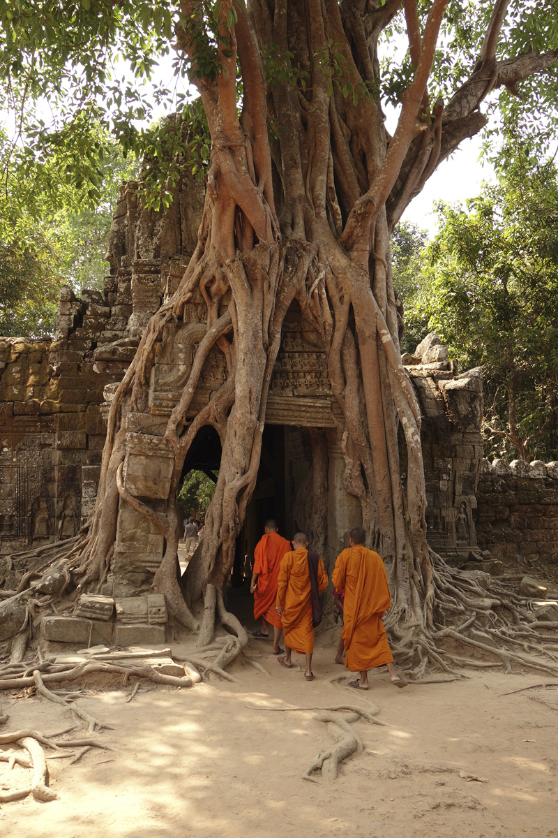 Visite des temples d'Angkor à Siem Reap au Cambodge