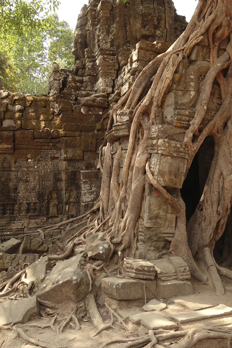 Visite des temples d'Angkor à Siem Reap au Cambodge