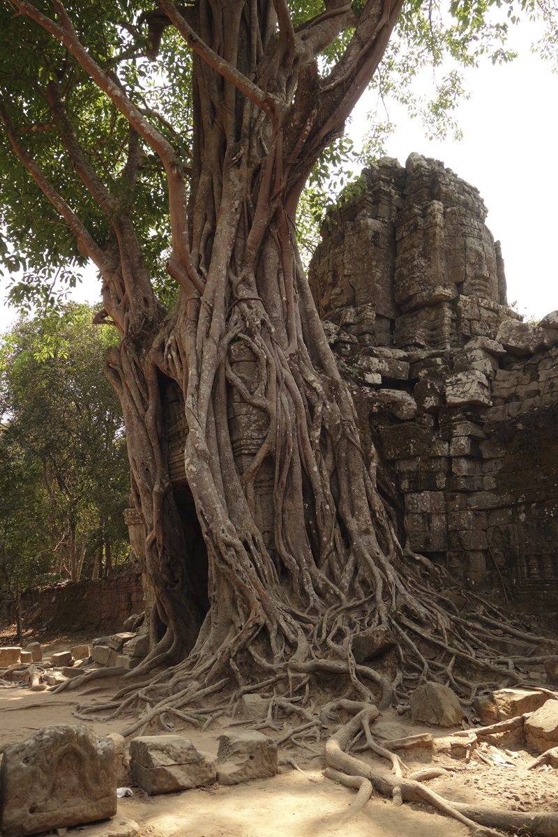 Visite des temples d'Angkor à Siem Reap au Cambodge