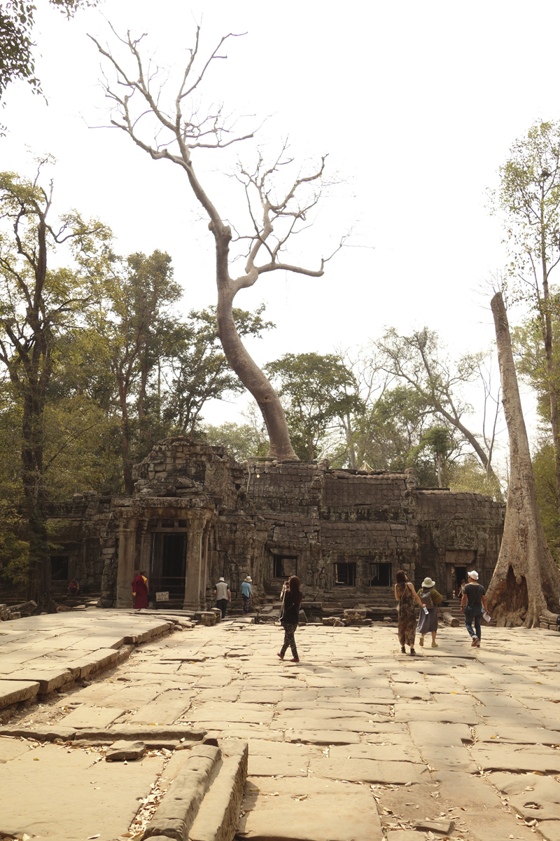 Visite des temples d'Angkor à Siem Reap au Cambodge