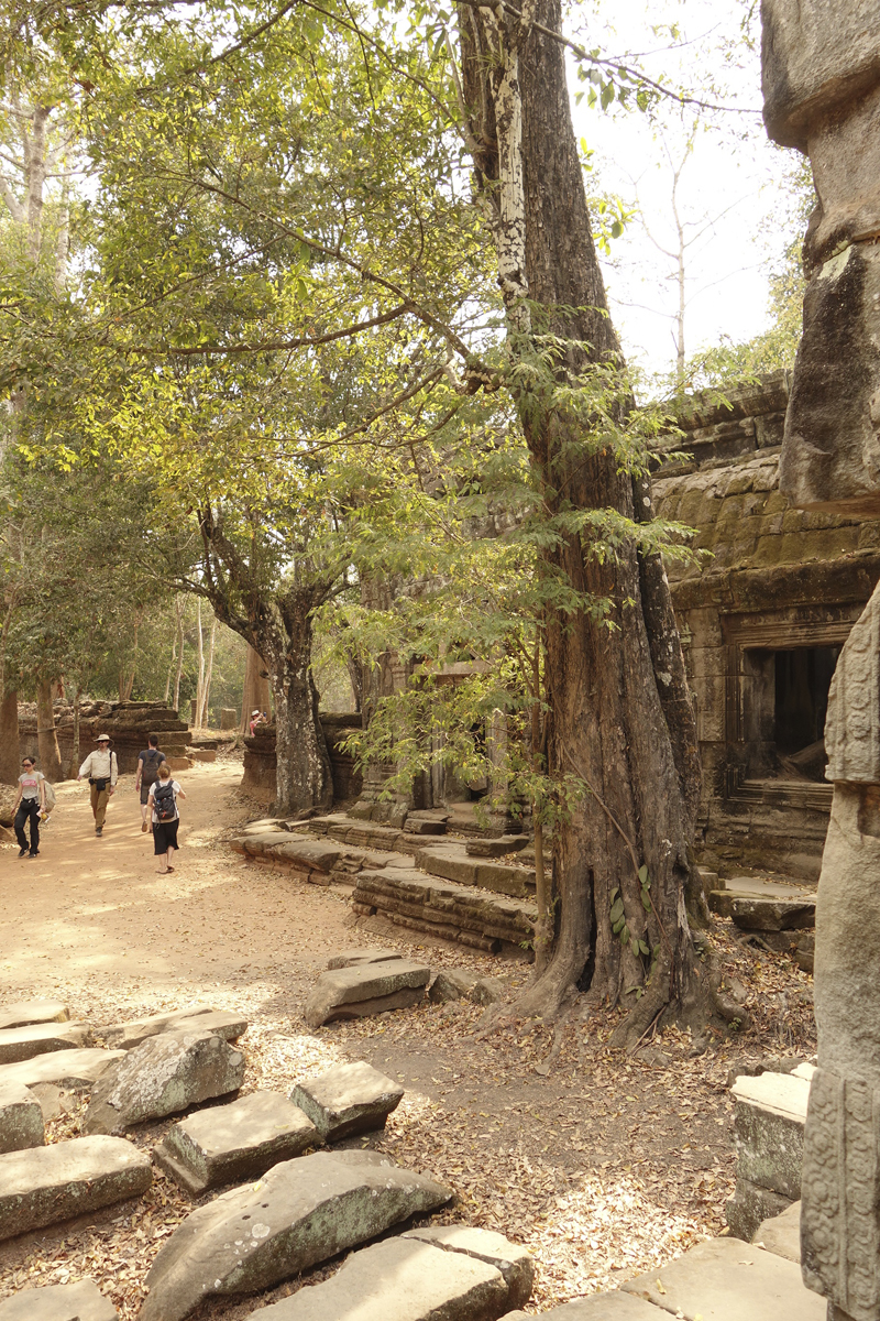 Visite des temples d'Angkor à Siem Reap au Cambodge