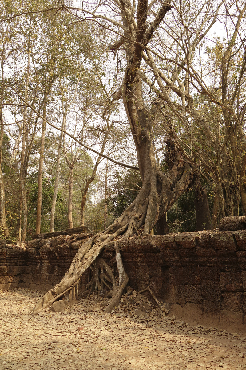 Visite des temples d'Angkor à Siem Reap au Cambodge