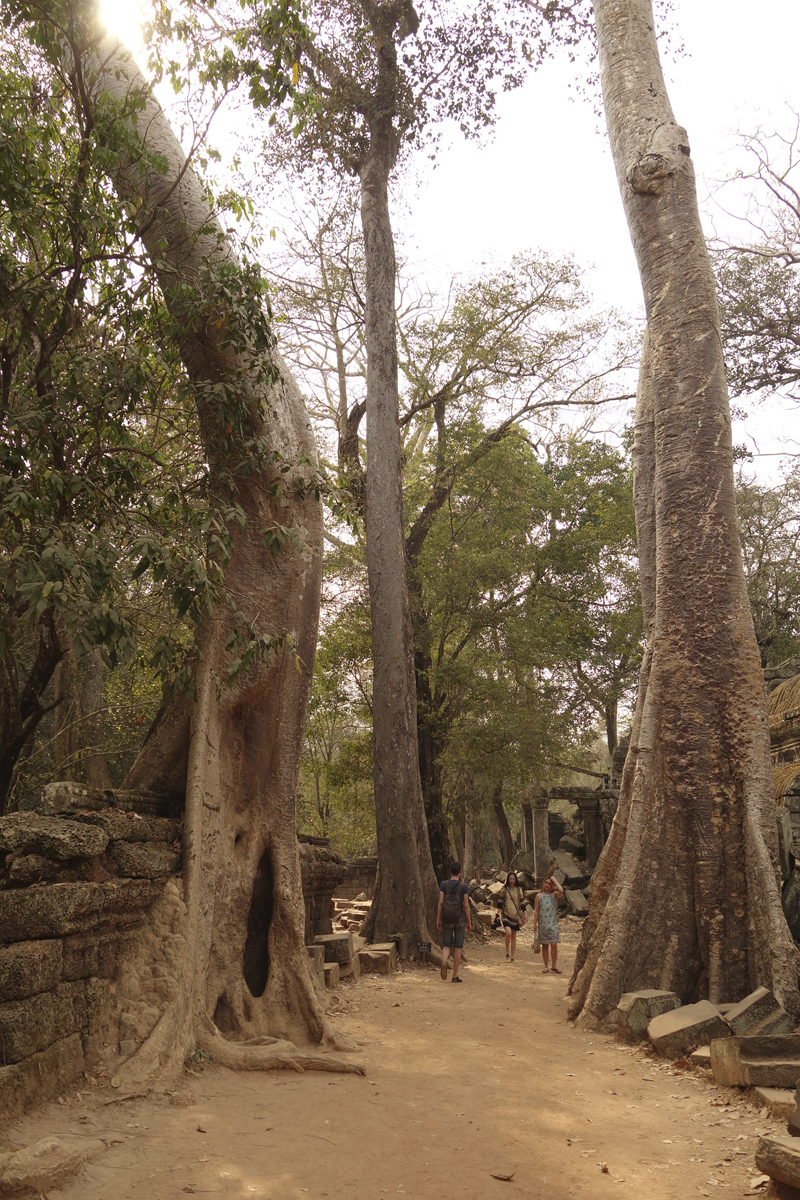 Visite des temples d'Angkor à Siem Reap au Cambodge