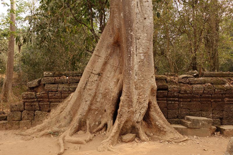 Visite des temples d'Angkor à Siem Reap au Cambodge