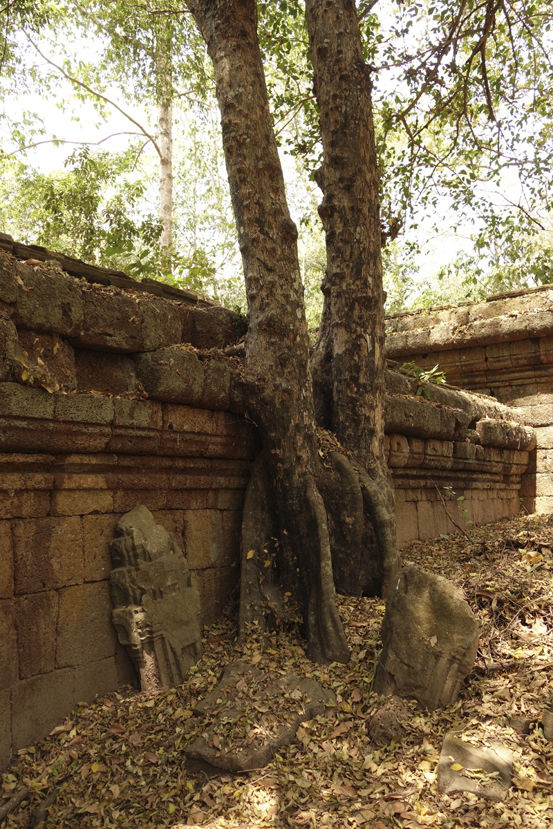 Visite des temples d'Angkor à Siem Reap au Cambodge