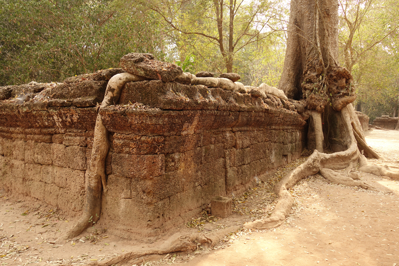 Visite des temples d'Angkor à Siem Reap au Cambodge