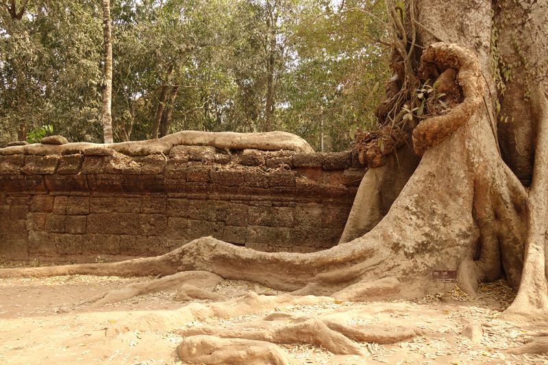 Visite des temples d'Angkor à Siem Reap au Cambodge