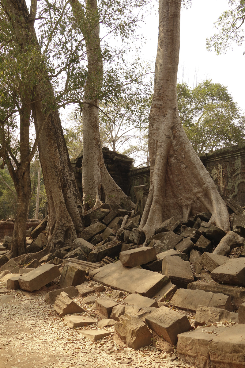 Visite des temples d'Angkor à Siem Reap au Cambodge