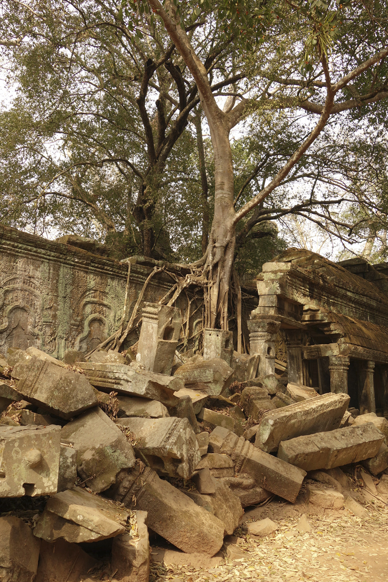 Visite des temples d'Angkor à Siem Reap au Cambodge