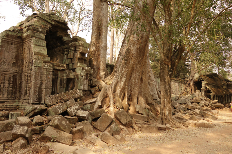 Visite des temples d'Angkor à Siem Reap au Cambodge