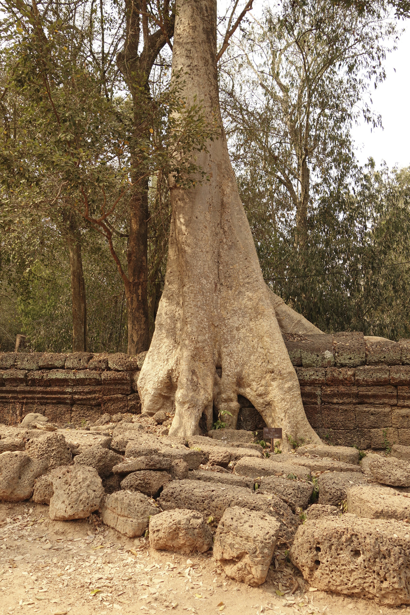 Visite des temples d'Angkor à Siem Reap au Cambodge