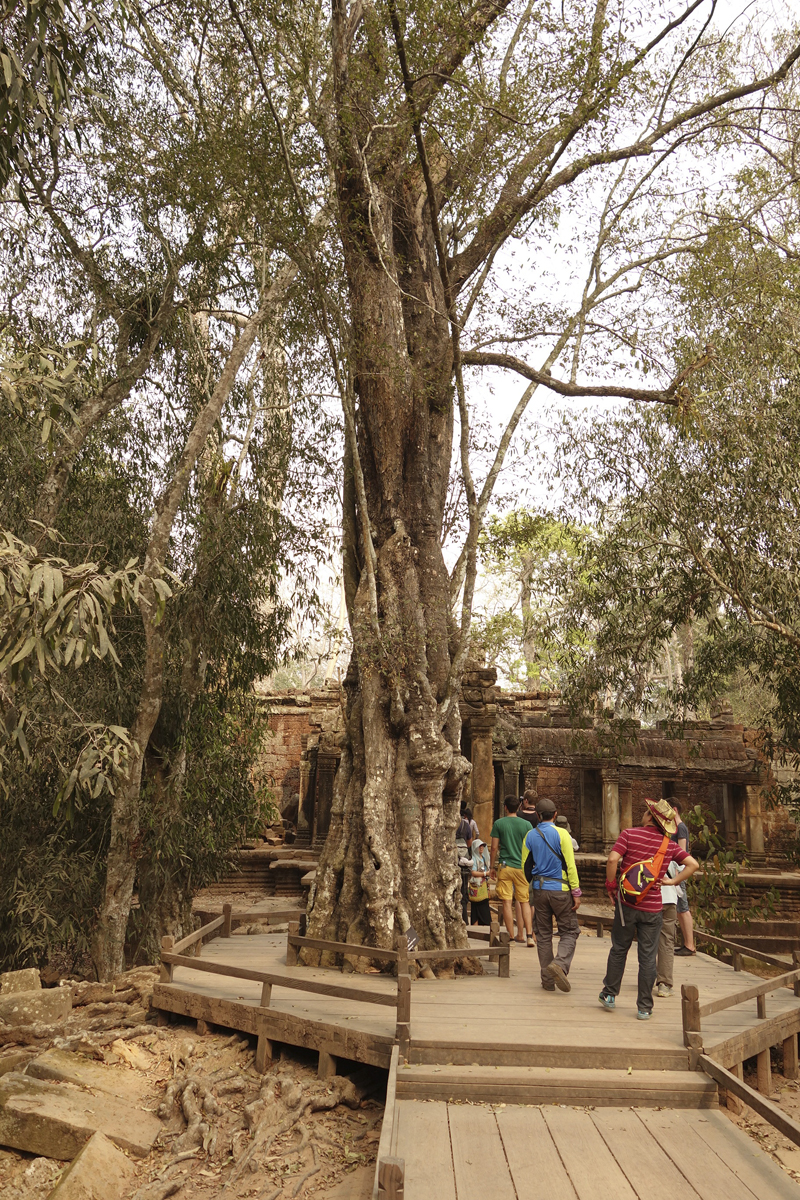 Visite des temples d'Angkor à Siem Reap au Cambodge