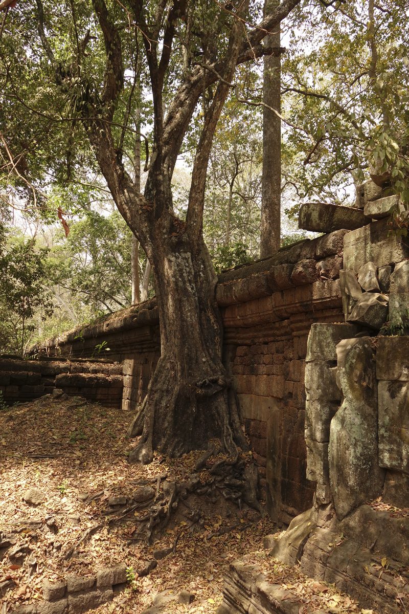 Visite des temples d'Angkor à Siem Reap au Cambodge