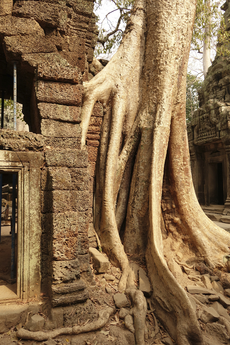 Visite des temples d'Angkor à Siem Reap au Cambodge