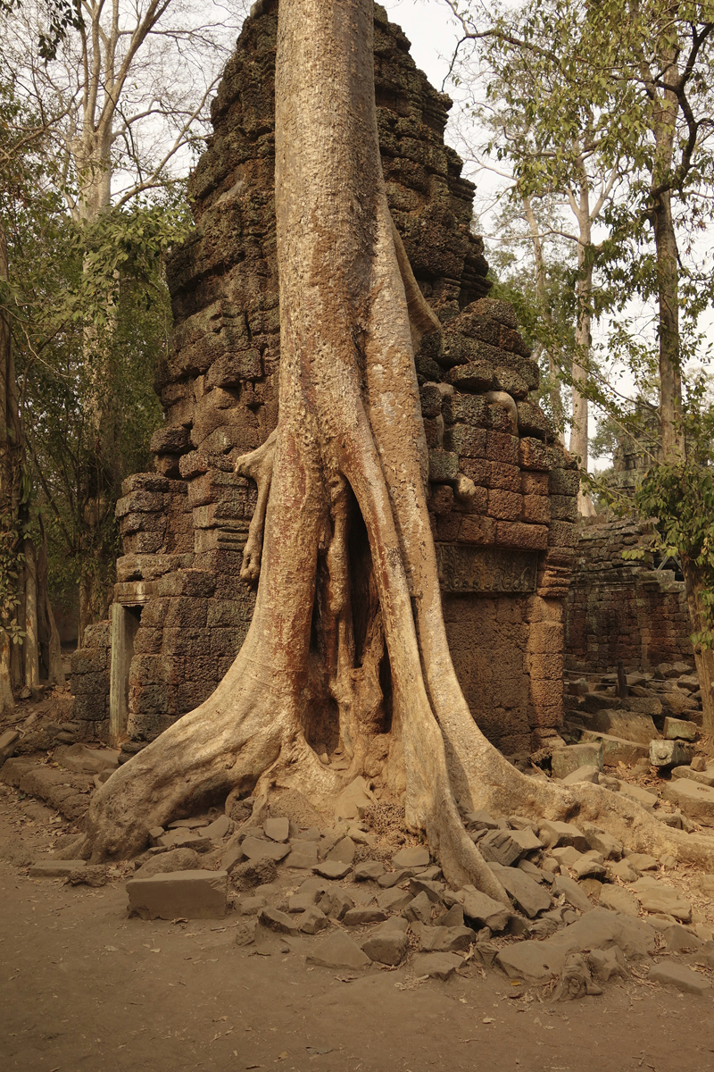 Visite des temples d'Angkor à Siem Reap au Cambodge