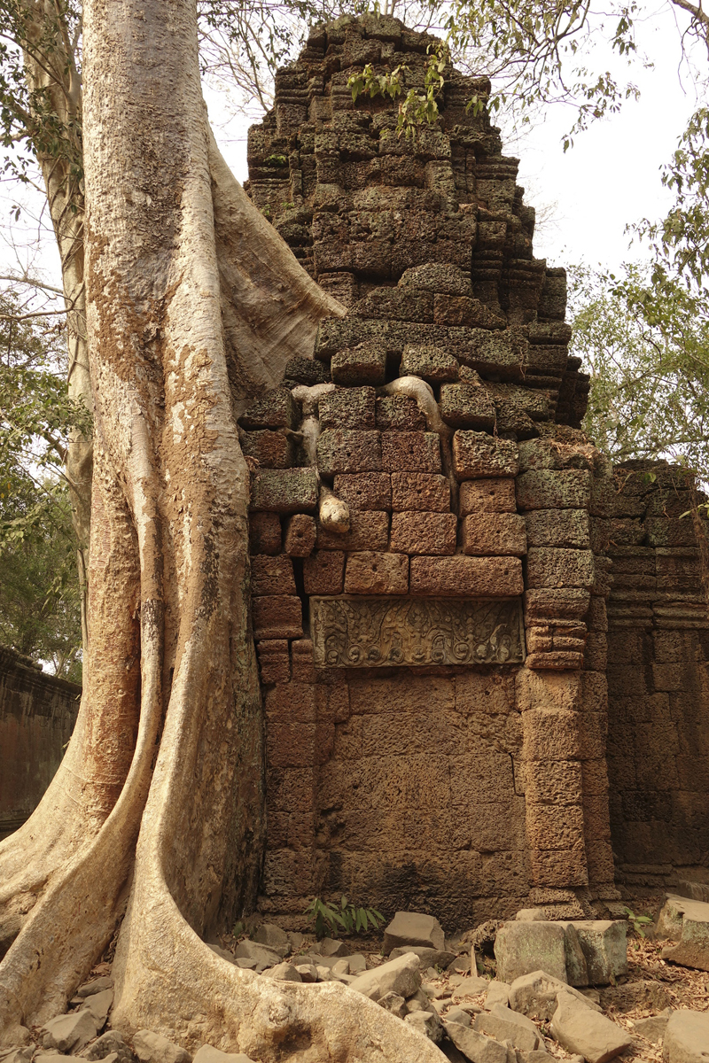 Visite des temples d'Angkor à Siem Reap au Cambodge