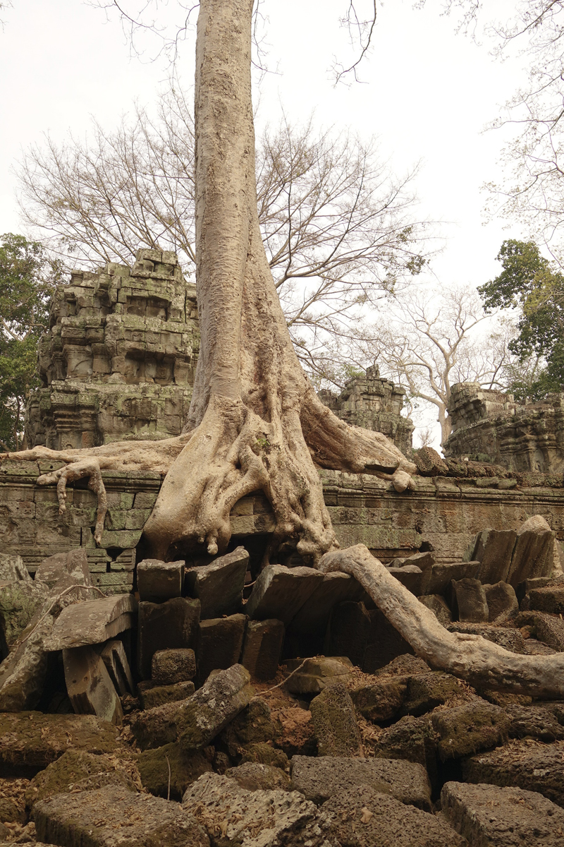 Visite des temples d'Angkor à Siem Reap au Cambodge