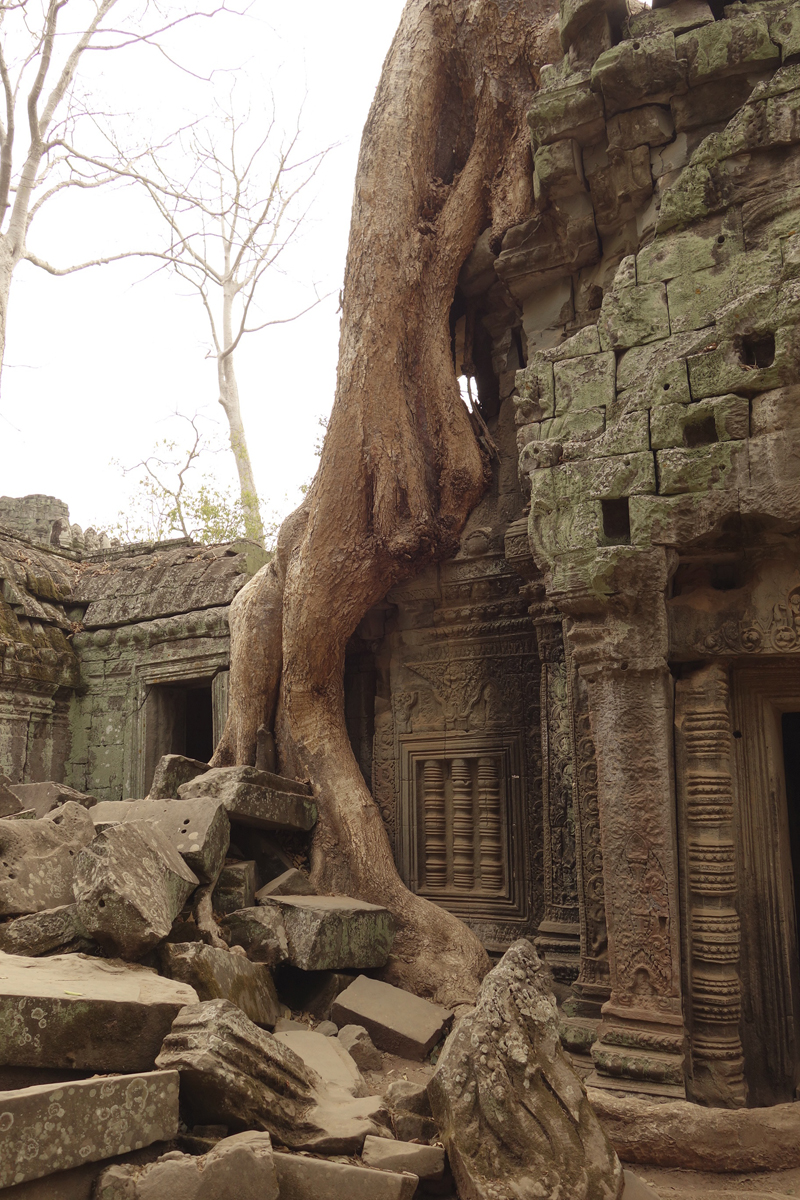 Visite des temples d'Angkor à Siem Reap au Cambodge