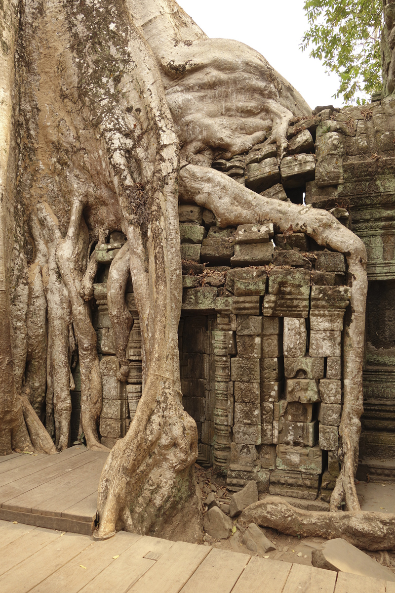 Visite des temples d'Angkor à Siem Reap au Cambodge