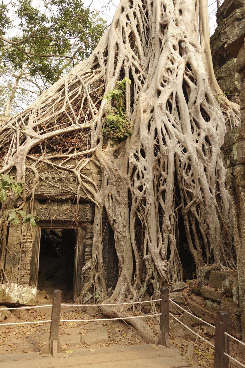 Visite des temples d'Angkor à Siem Reap au Cambodge